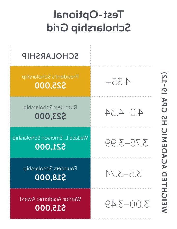 23奖学金网格测试可选